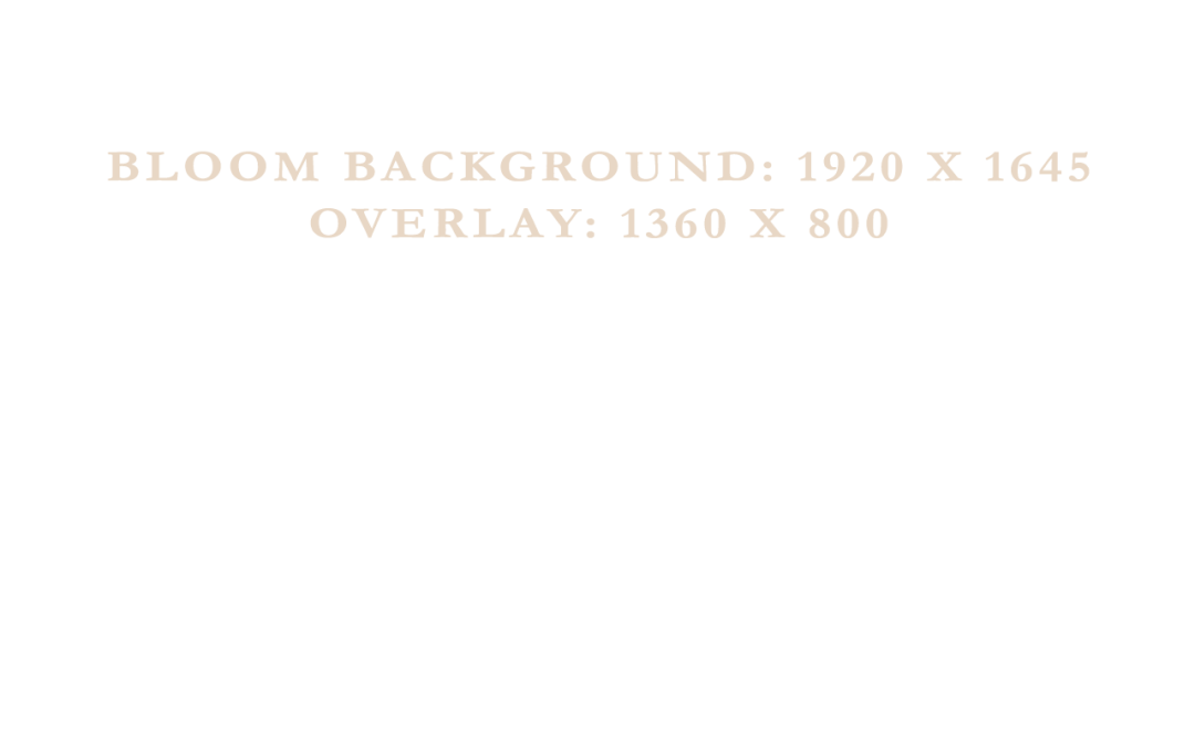 1920-x-1645-bloom-overlay